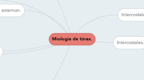 Mind Map: Miologia de tórax.