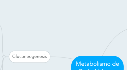 Mind Map: Metabolismo de Carbohidratos