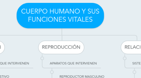 Mind Map: CUERPO HUMANO Y SUS FUNCIONES VITALES