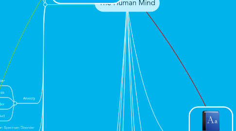 Mind Map: The Human Mind