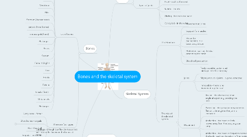 Mind Map: Bones and the skeletal system