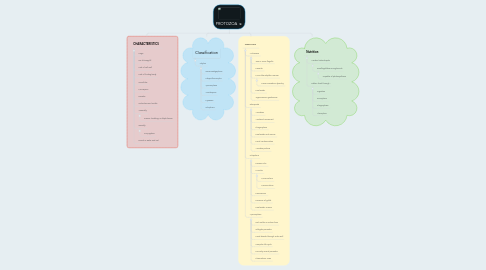 Mind Map: PROTOZOA