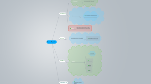 Mind Map: Tercer Registro