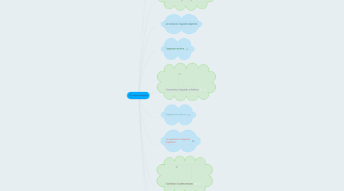 Mind Map: Il corpo umano