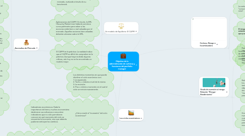 Mind Map: Objetivo de la administración de carteras y funciones del portfolio manager