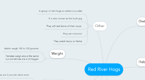 Mind Map: Red River Hogs