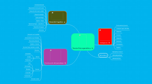 Mind Map: Teoría Psicogenética