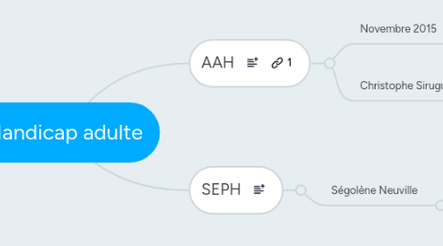 Mind Map: Handicap adulte