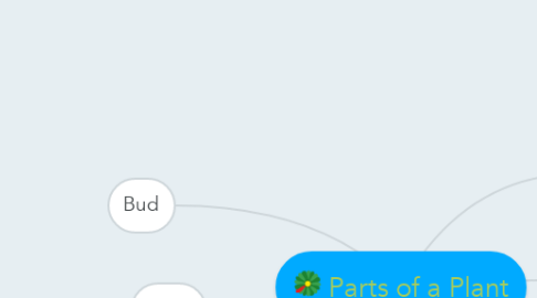 Mind Map: Parts of a Plant
