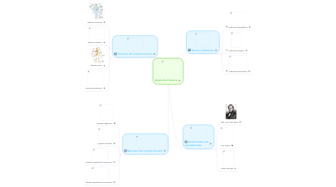 Mind Map: Anatomía Humana