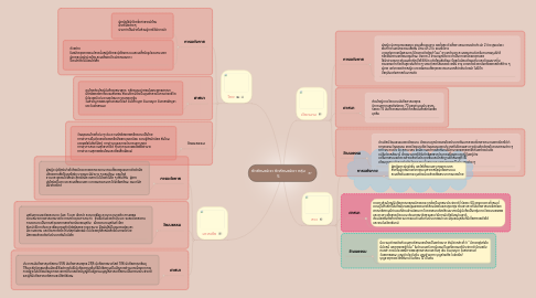 Mind Map: อัตลักษณ์เรา อัตลักษณ์เขา กลุ่ม 5