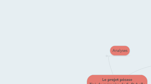 Mind Map: Le projet pécase Tiré du mémoire de S. Debelle (2004)