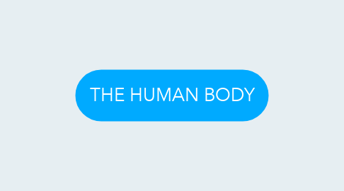 Mind Map: THE HUMAN BODY