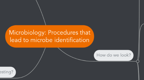 Mind Map: Microbiology: Procedures that lead to microbe identification