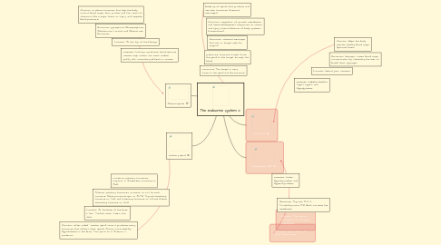 Mind Map: The endocrine system