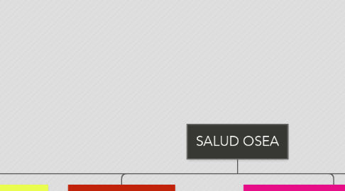 Mind Map: SALUD OSEA