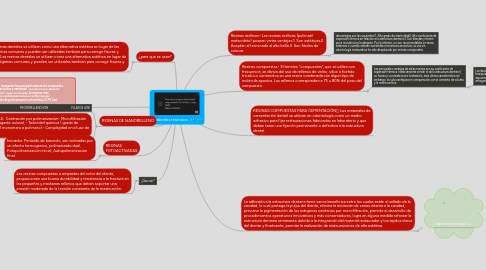 Mind Map: Materiales resinosos