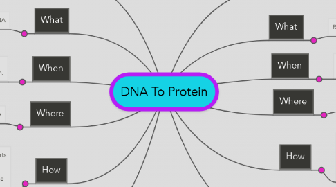 Mind Map: DNA To Protein