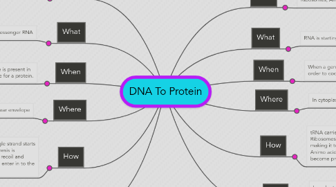 Mind Map: DNA To Protein