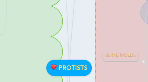 Mind Map: PROTISTS