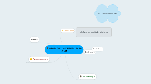 Mind Map: PROBLEMAS AMBIENTALES EN SUBA