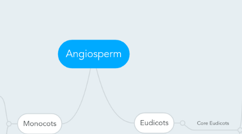 Mind Map: Angiosperm