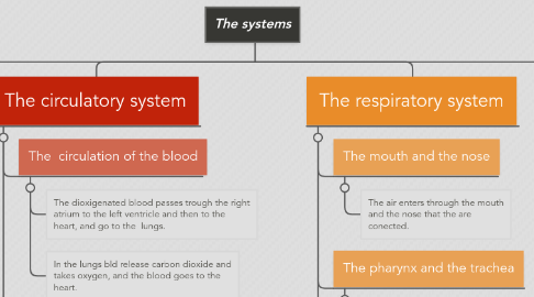 Mind Map: The systems