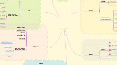 Mind Map: DUYU ORGANLARI