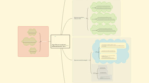 Mind Map: ปัญหาที่เกิดจากการอยู่ร่วมกัน ในสังคมพหุวัฒนธรรม กลุ่ม 2