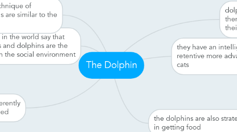 Mind Map: The Dolphin