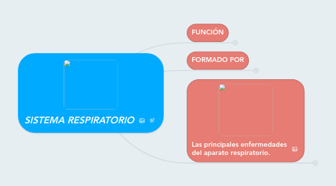 Mind Map: SISTEMA RESPIRATORIO