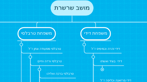 Mind Map: מושב שרשרת