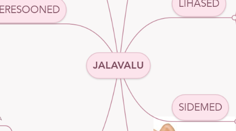Mind Map: JALAVALU
