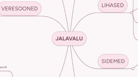 Mind Map: JALAVALU