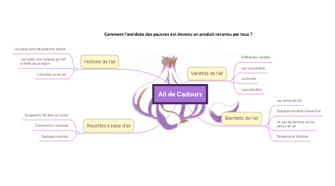 Mind Map: Ail de Cadours