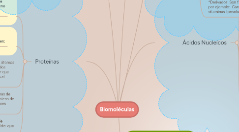 Mind Map: Biomoléculas