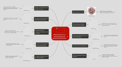 Mind Map: PRINCIPIOS DE LA PROGRAMACION NEUROLINGUISTICA