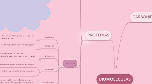 Mind Map: BIOMOLECULAS