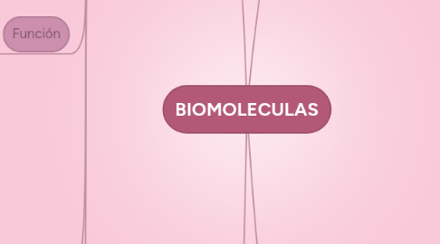 Mind Map: BIOMOLECULAS