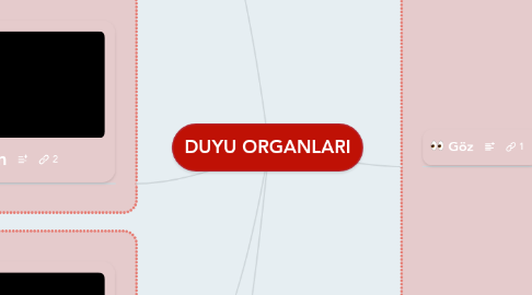 Mind Map: DUYU ORGANLARI