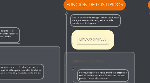 Mind Map: BIOMOLECULAS