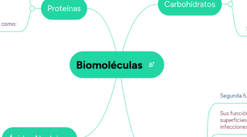 Mind Map: Biomoléculas