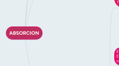 Mind Map: ABSORCION