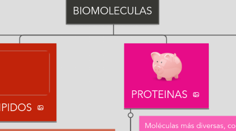 Mind Map: BIOMOLECULAS