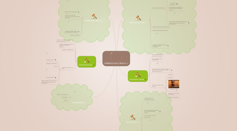 Mind Map: CRIMINOLOGIA CRITICA