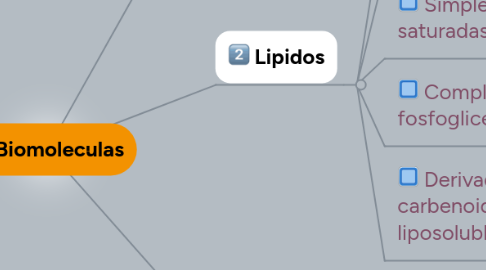 Mind Map: Las Biomoleculas