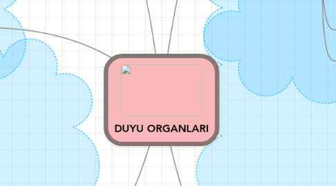 Mind Map: DUYU ORGANLARI