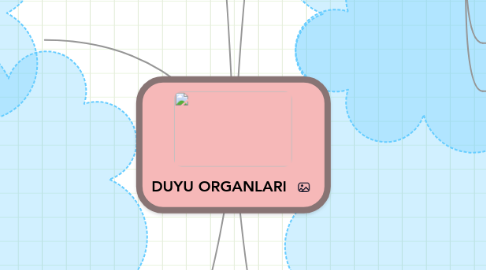 Mind Map: DUYU ORGANLARI