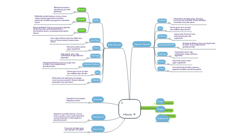 Mind Map: Hücre