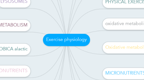 Mind Map: Exercise physiology